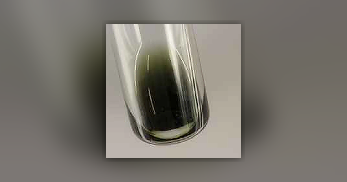 4-AcO-DMT; Psilocin