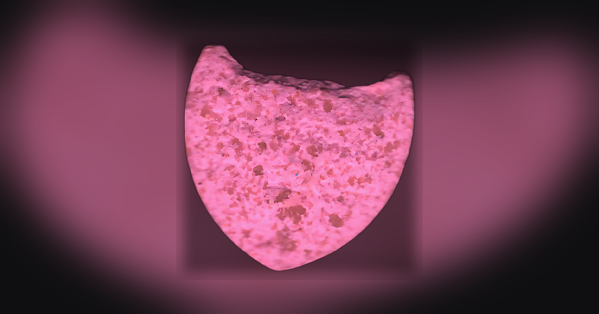 Shield