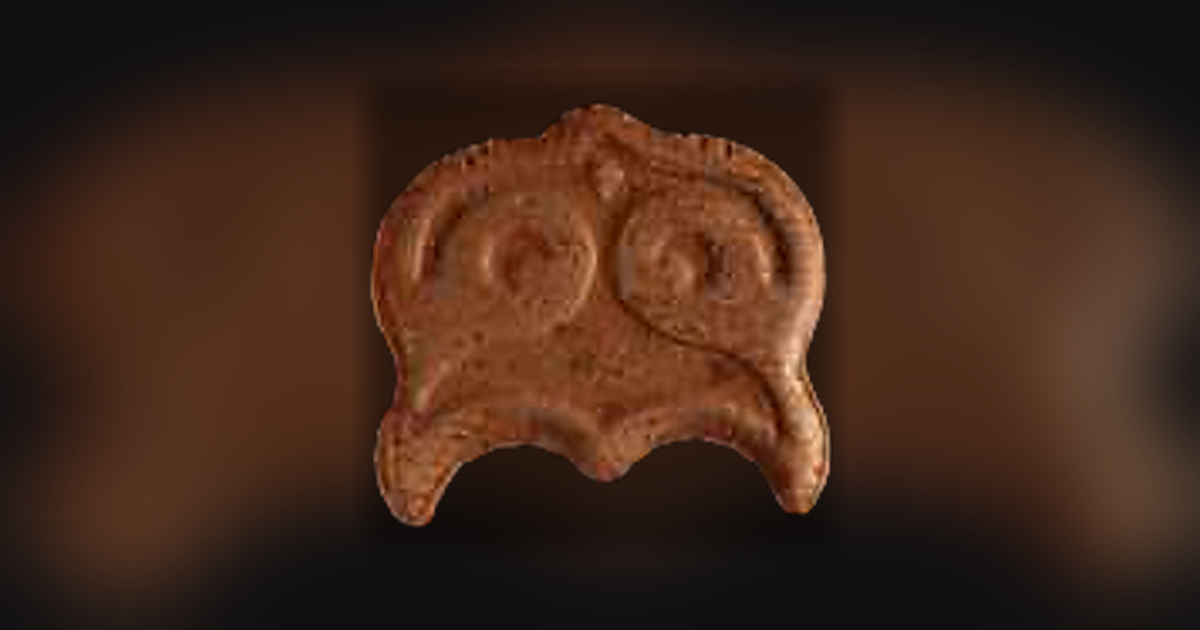 Owl (Panama)