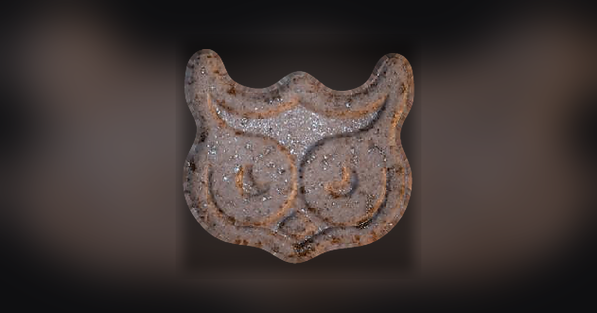Owl (Panama)