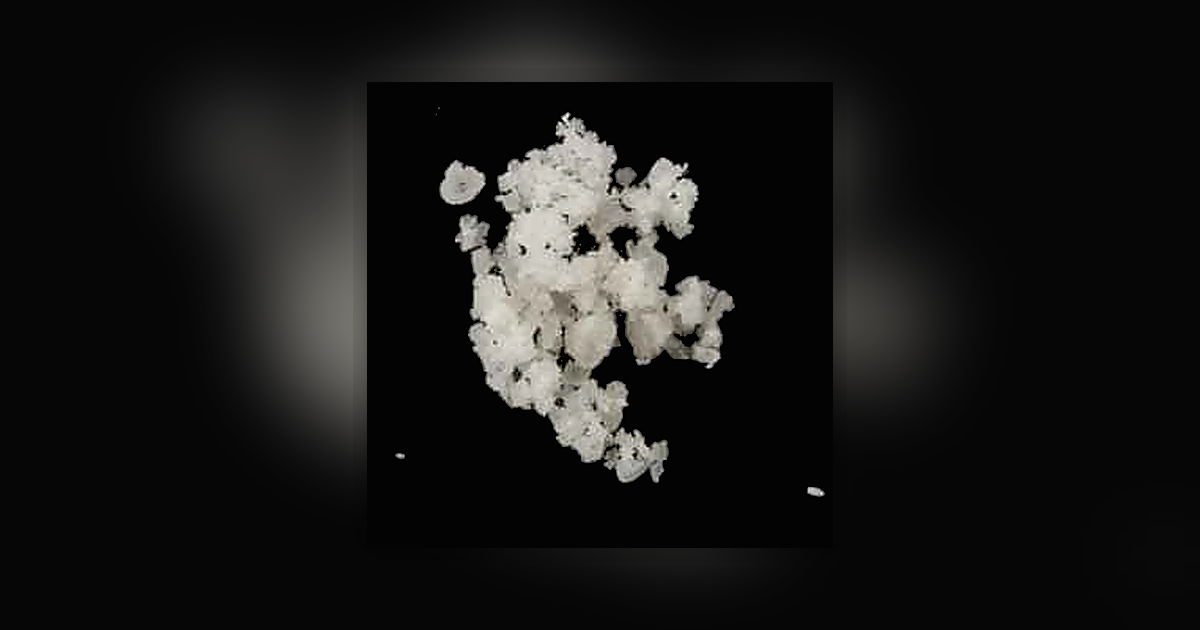 2-MMC; Cocaine