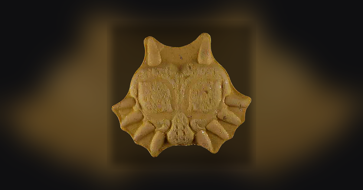 Zelda