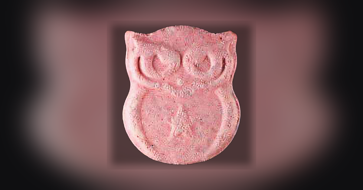 Owl, Panama 2.