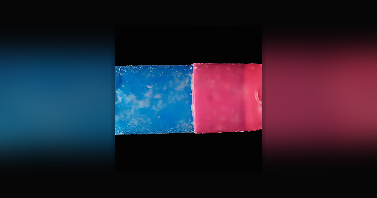 NASA, 2C-B