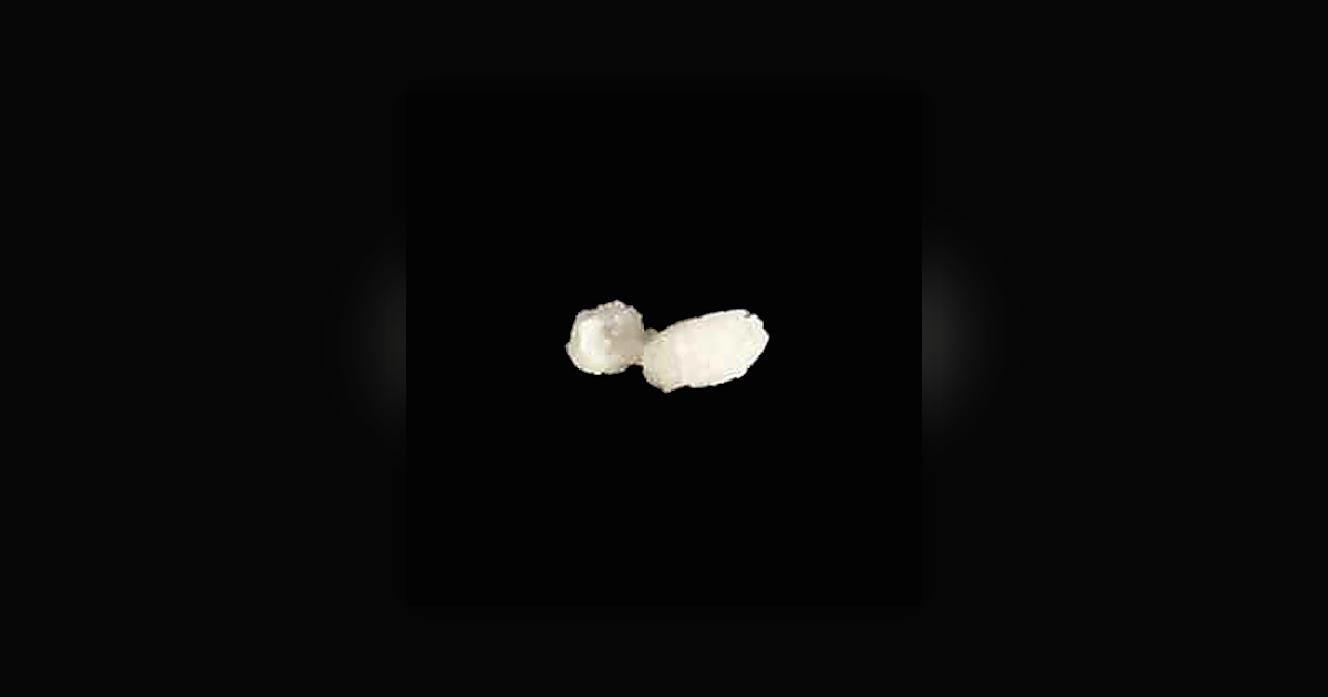 2-MMC