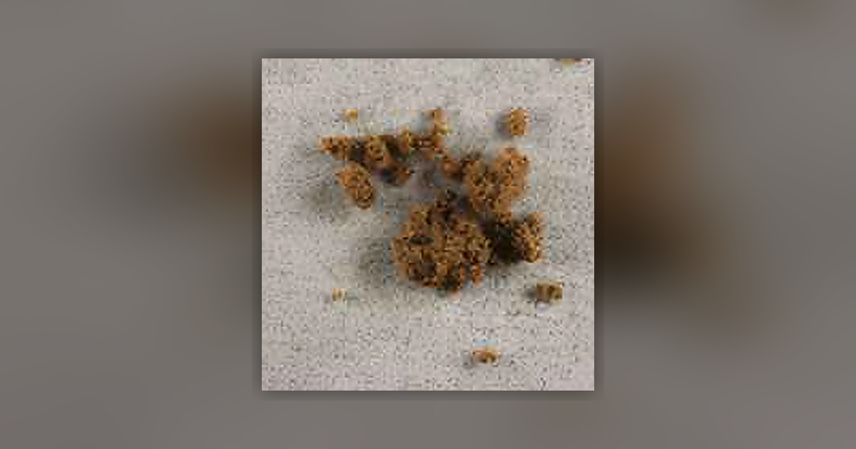 Delta-8-THC; THC; CBD