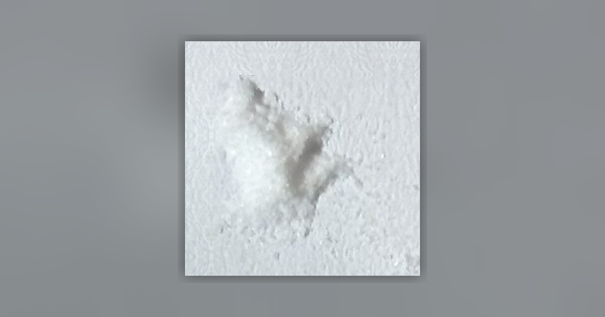 Sodium bicarbonate