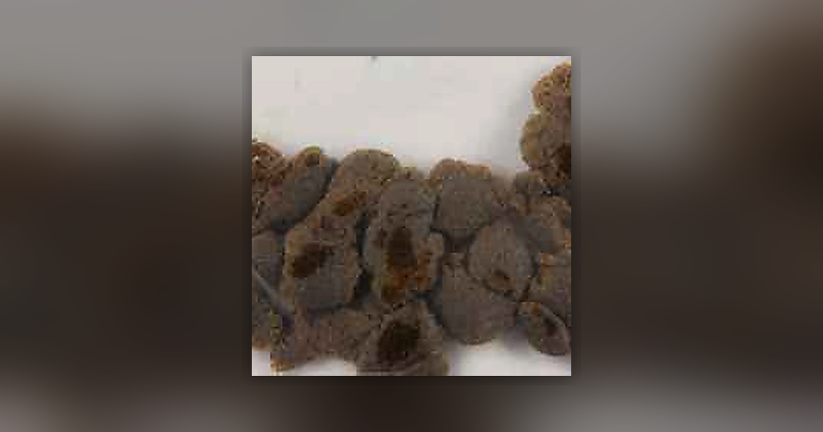 Delta-8-THC; THC; CBD