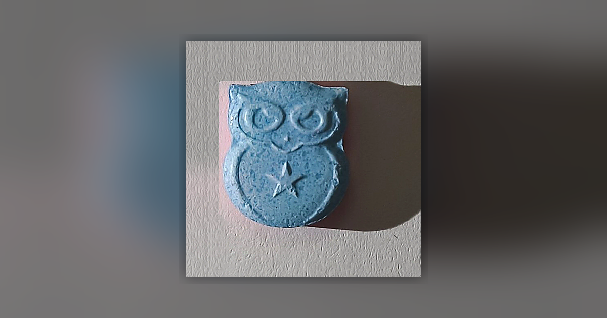 Panama, Owl