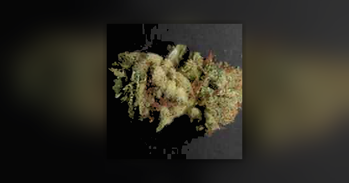 AB-CHMINACA; ADB-PINACA; THC; CBD