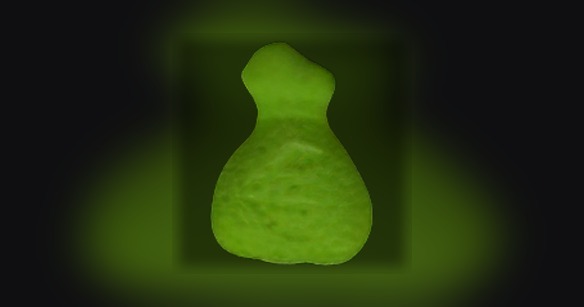 Money Bag, Dollar
