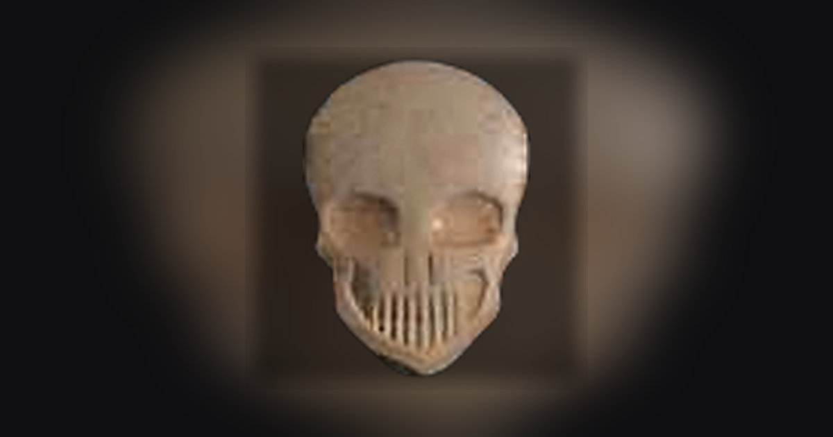 Skull, MyBrand