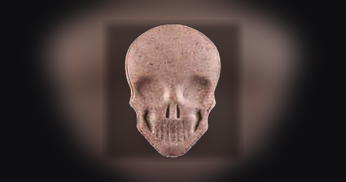 Skull, MyBrand