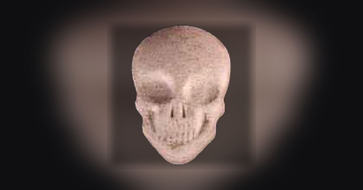 Skull, MyBrand