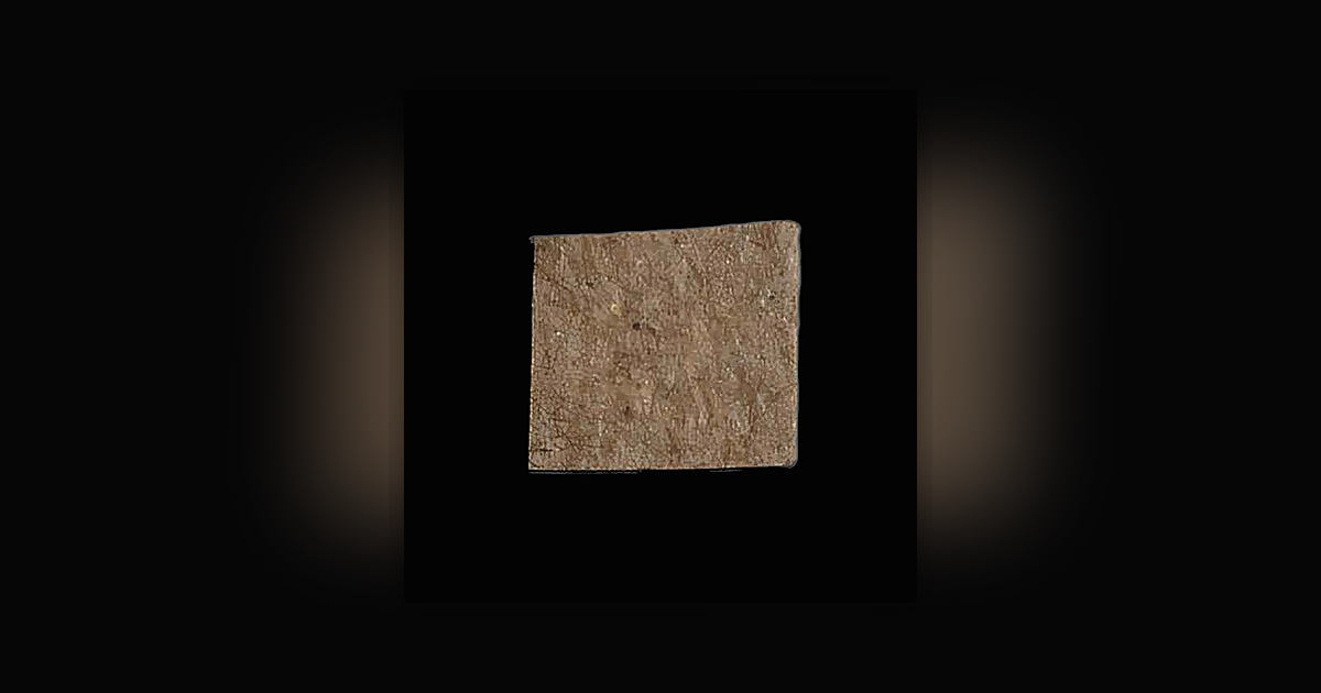 LSD (50µg)