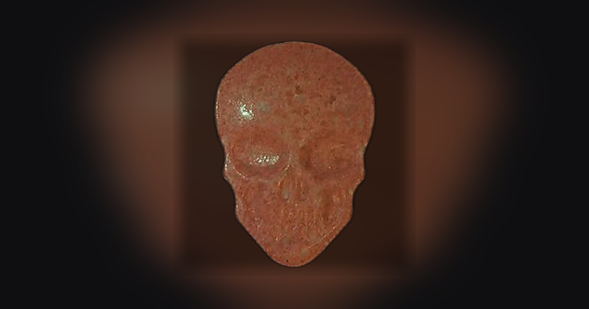 Skull