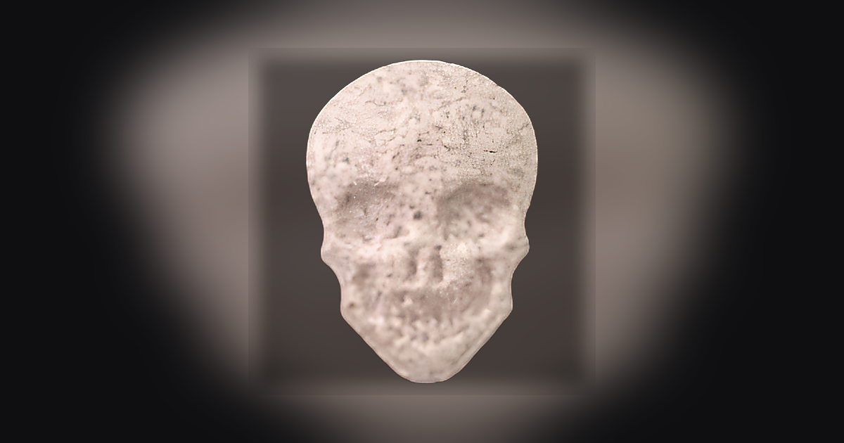 Skull
