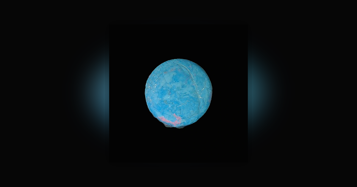 No Logo