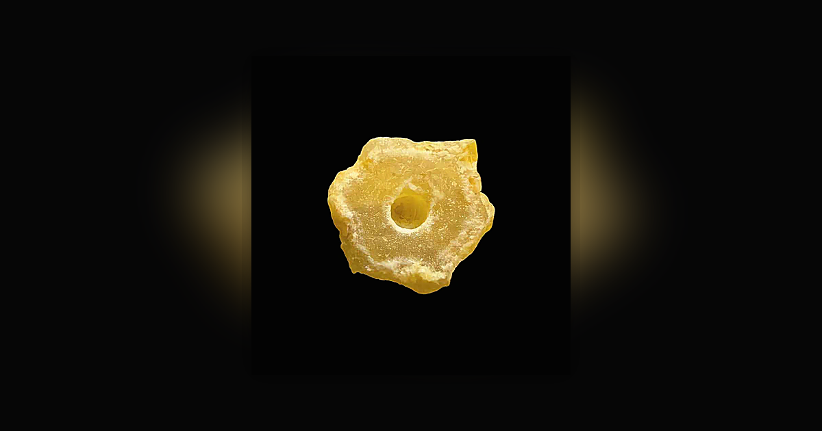 LSD (92µg); Tryptamine; Unknown