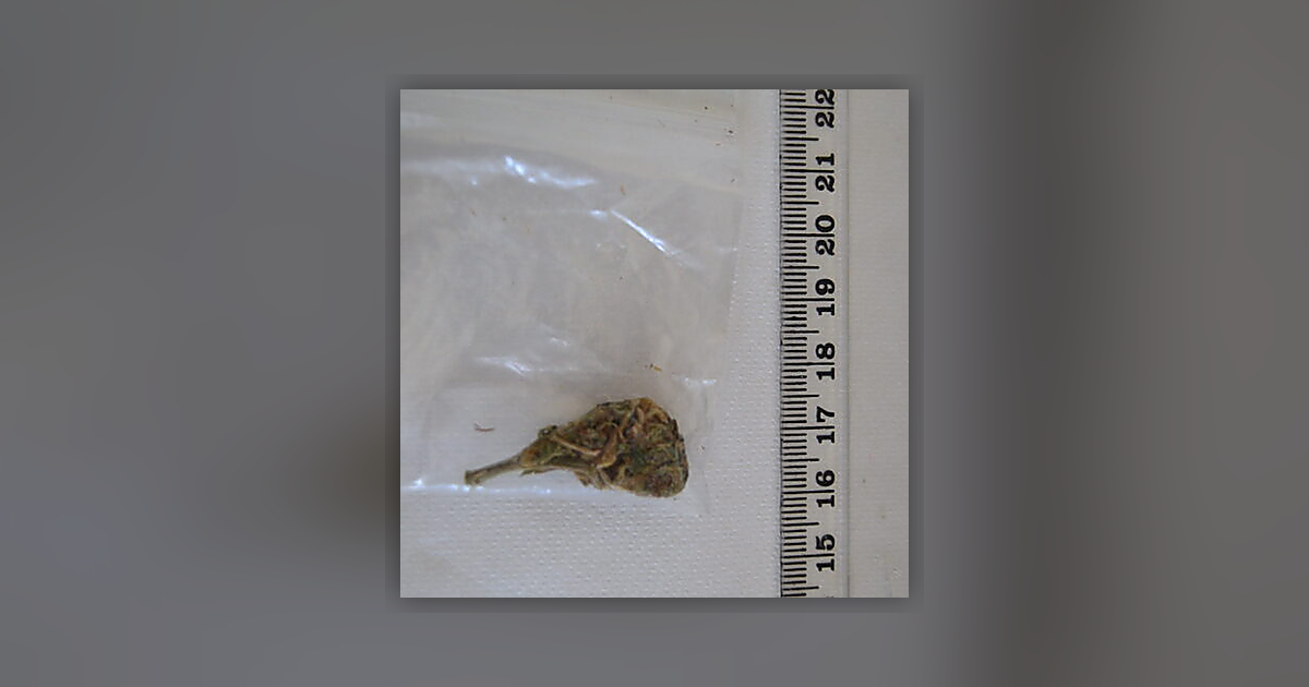 Weed