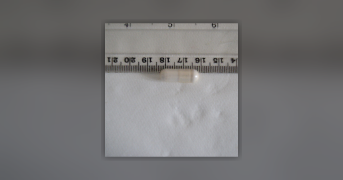 Fenbendazole