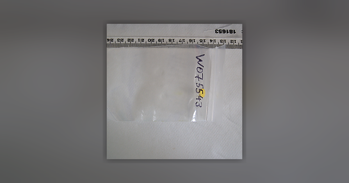 Nerodelm 2