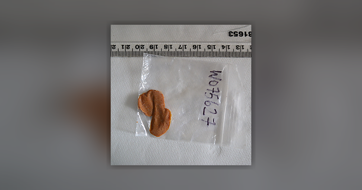 Psilocin