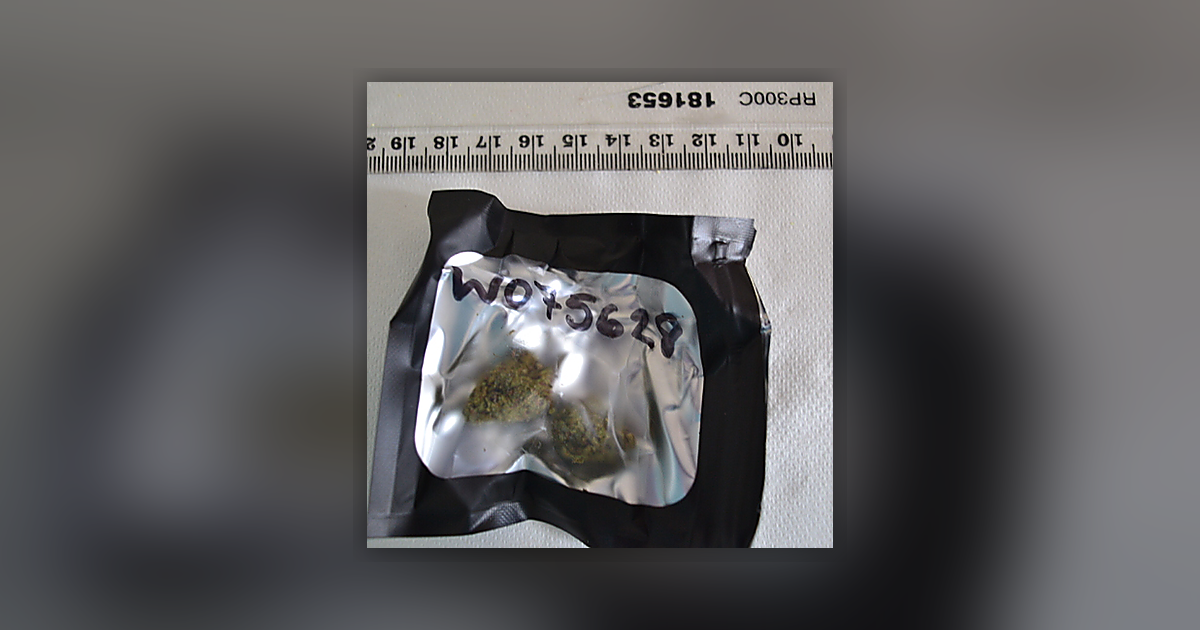 Stardawg