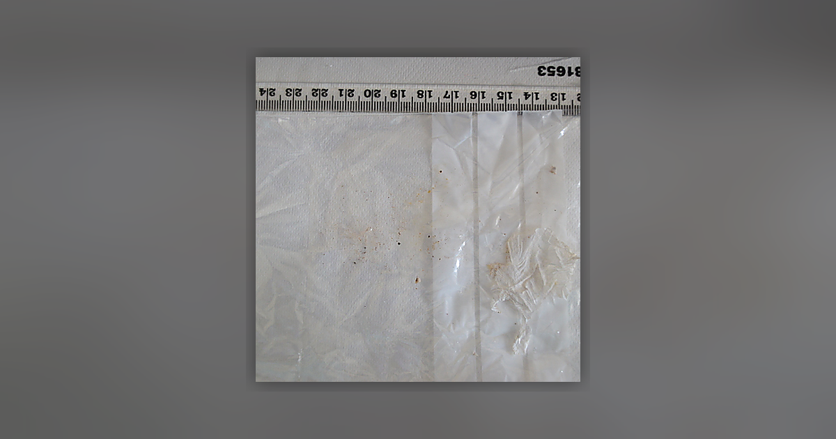 Cocaine; Noscapine; Heroin; Paracetamol; Caffeine; Acetylcodeine; Papaverine; 6-MAM