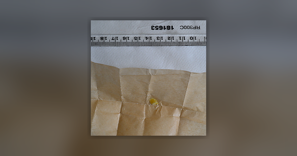 Limecore Wax Sugar