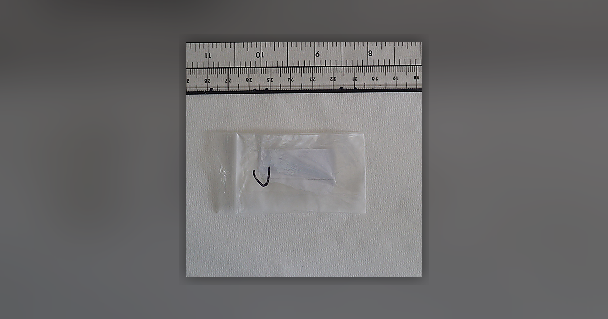 Cocaine; Benzoylecgonine