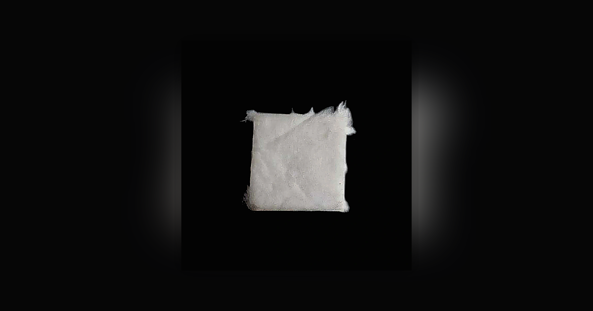 No Logo