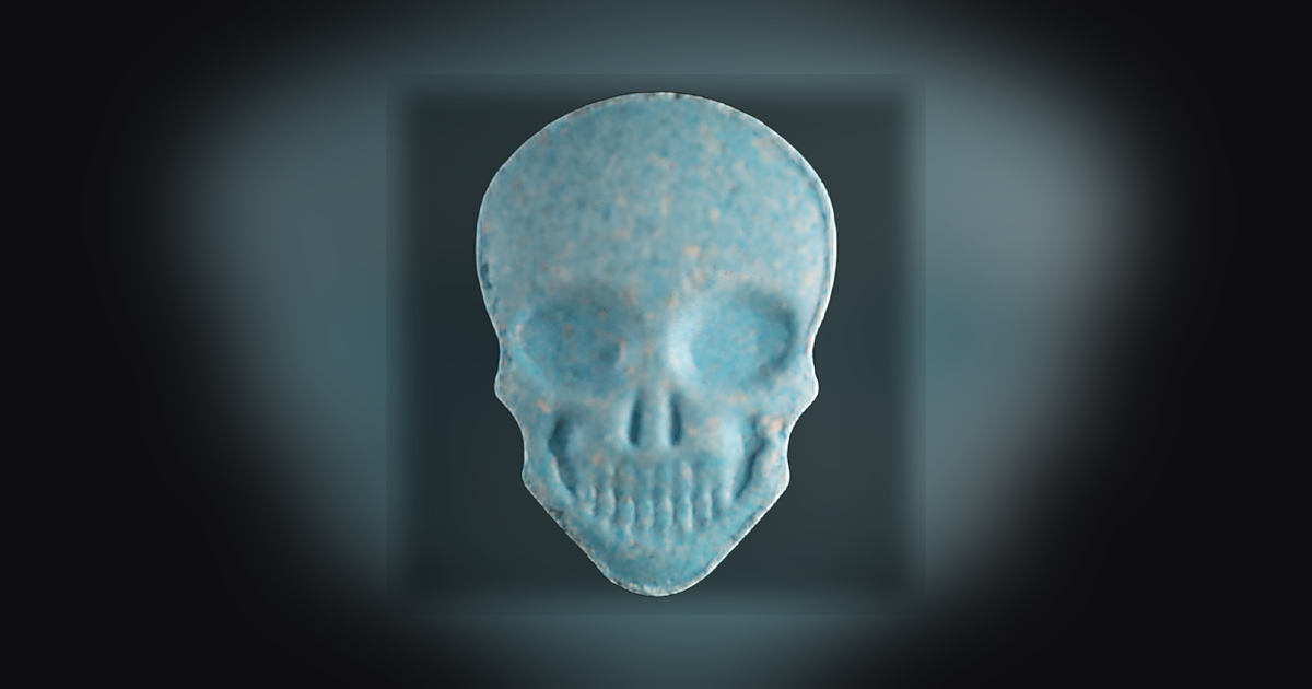 Skull, MyBrand