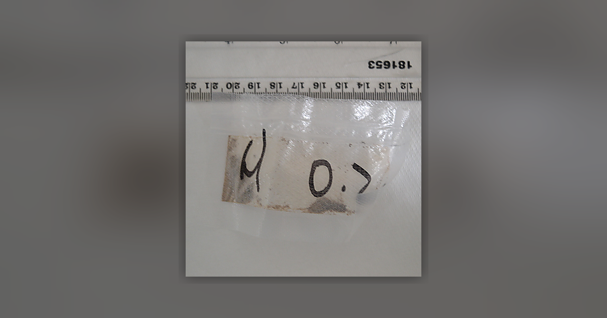 H 0.2