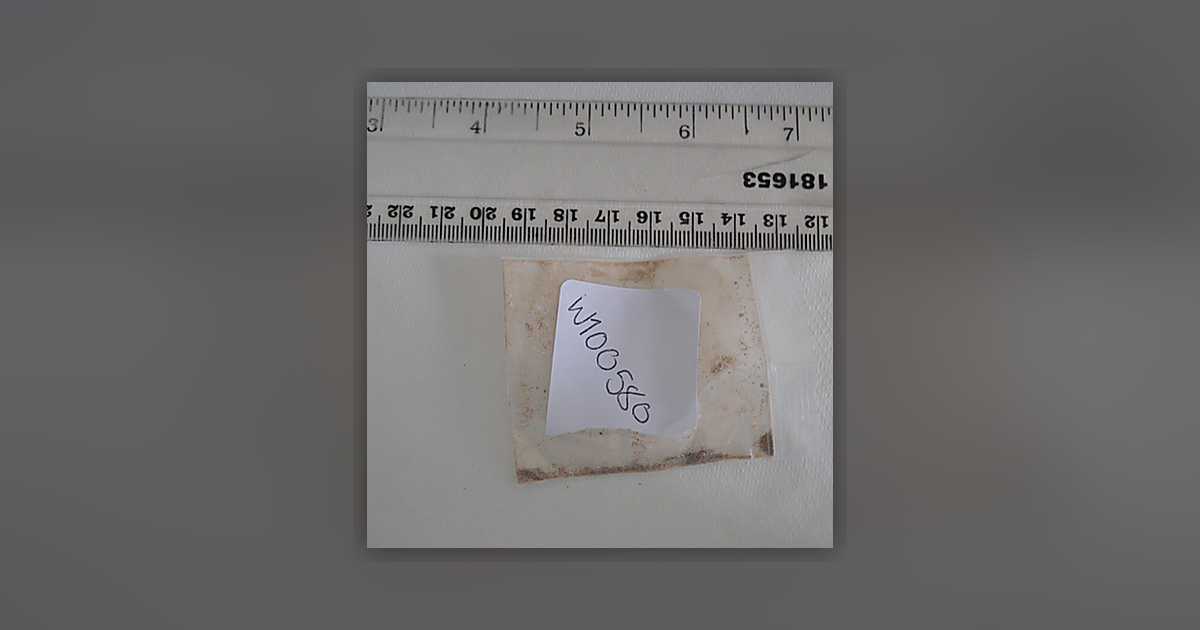 Heroin; Noscapine; Paracetamol; Acetylcodeine; 6-MAM; Papaverine