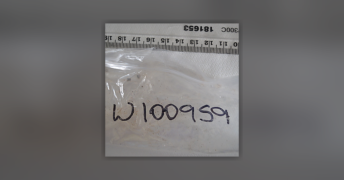 Heroin; 6-MAM; Noscapine; Paracetamol; Acetylcodeine; Caffeine; Papaverine