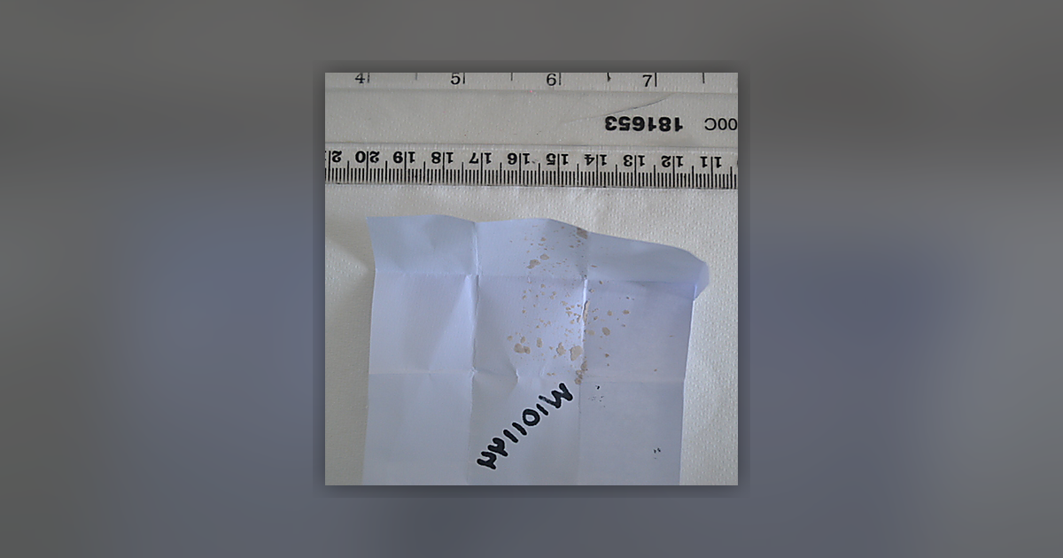 2C-B