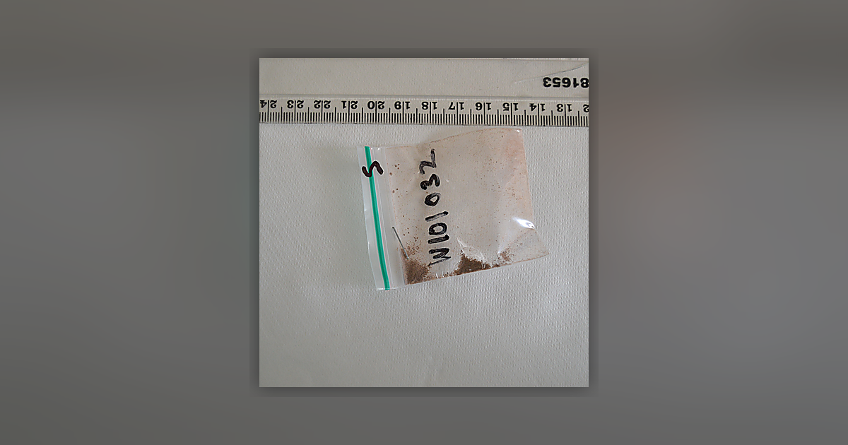 Caffeine; Medetomidine; 6-MAM; Noscapine; Paracetamol; Dimethocaine; Heroin; Papaverine