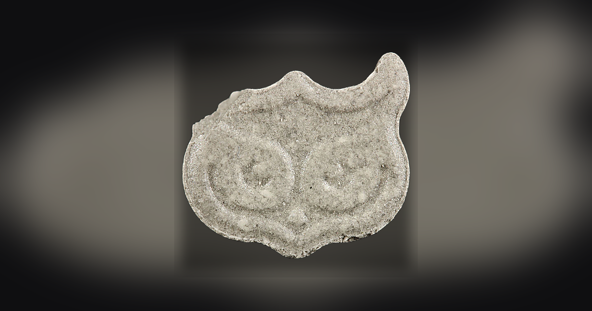 Owl (Panama)