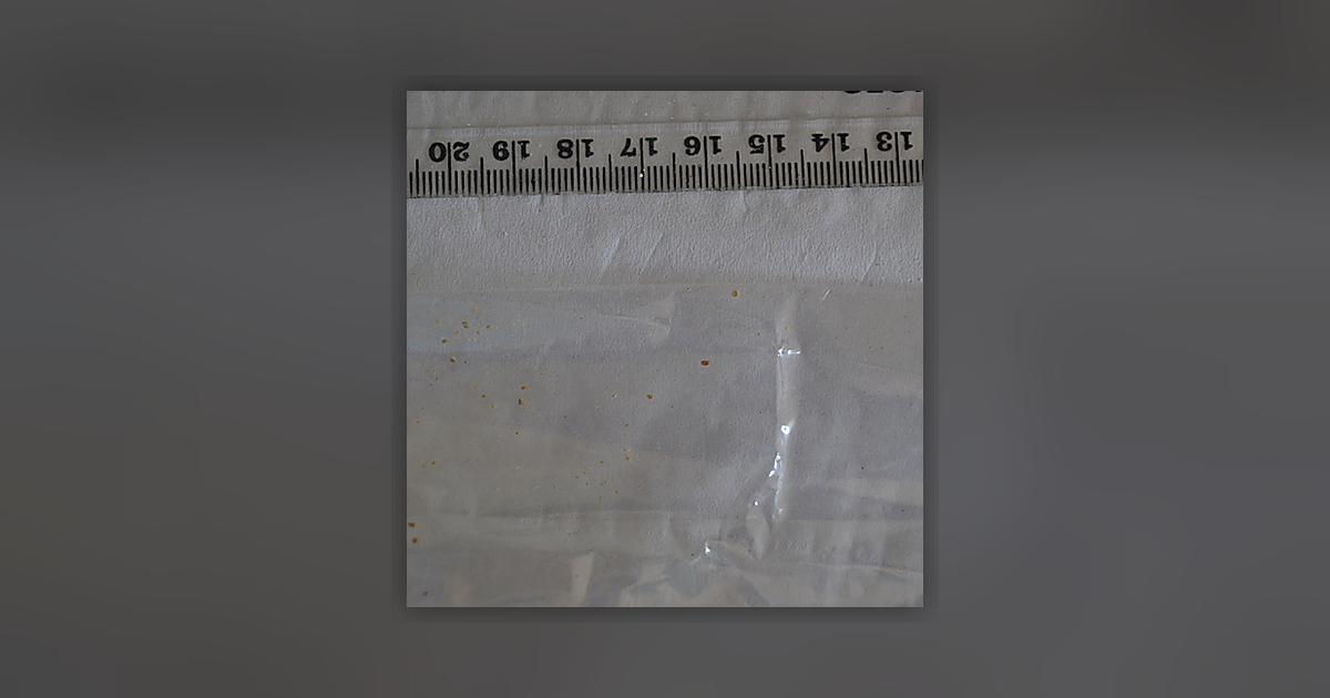 Cocaine; Benzoylecgonine