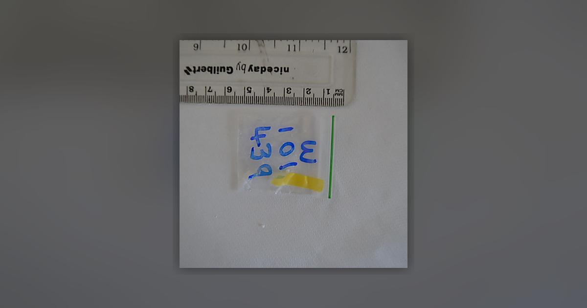 Cocaine; Tropacocaine
