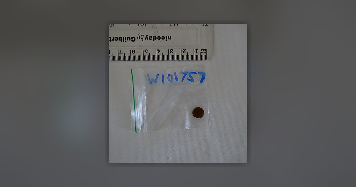 Gorillla Glue Filtered Hash