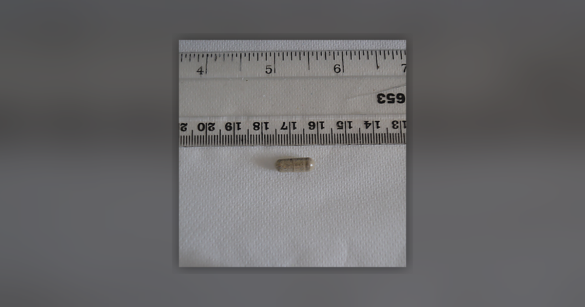 6g Of Functional Mushrooms Third Eye Fung