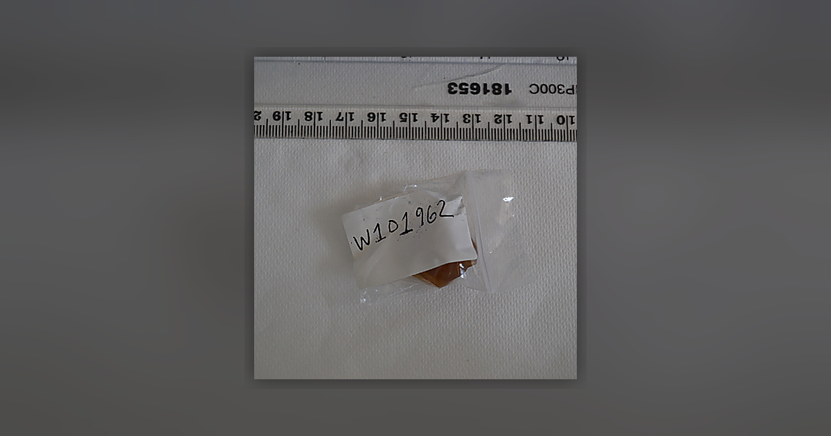 20260617SCOf-