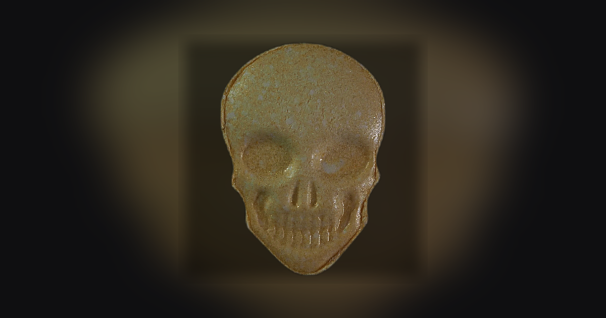 Skull, MyBrand