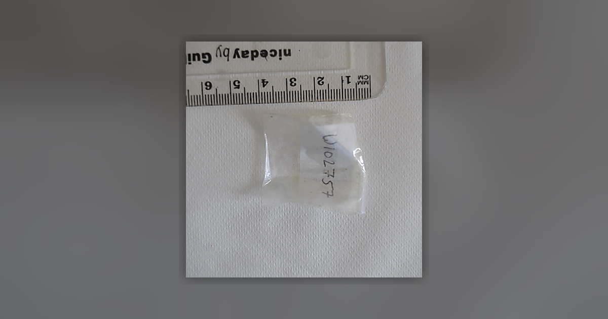 Cocaine; Benzoylecgonine