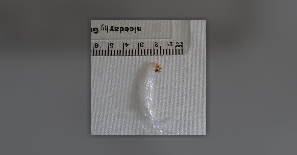 MDMA