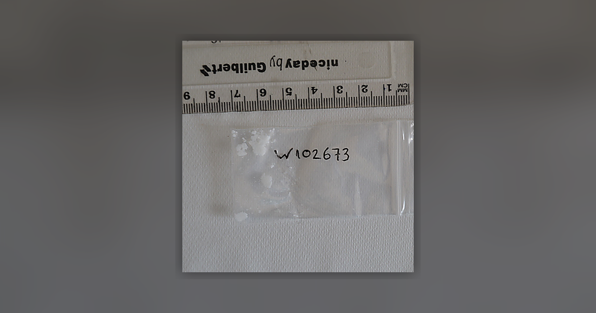 Cocaine; Benzoylecgonine; Tropacocaine