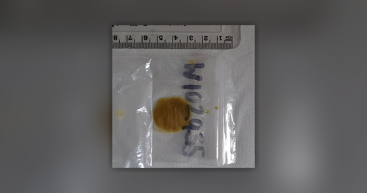 Kosher Kush Thca 80%