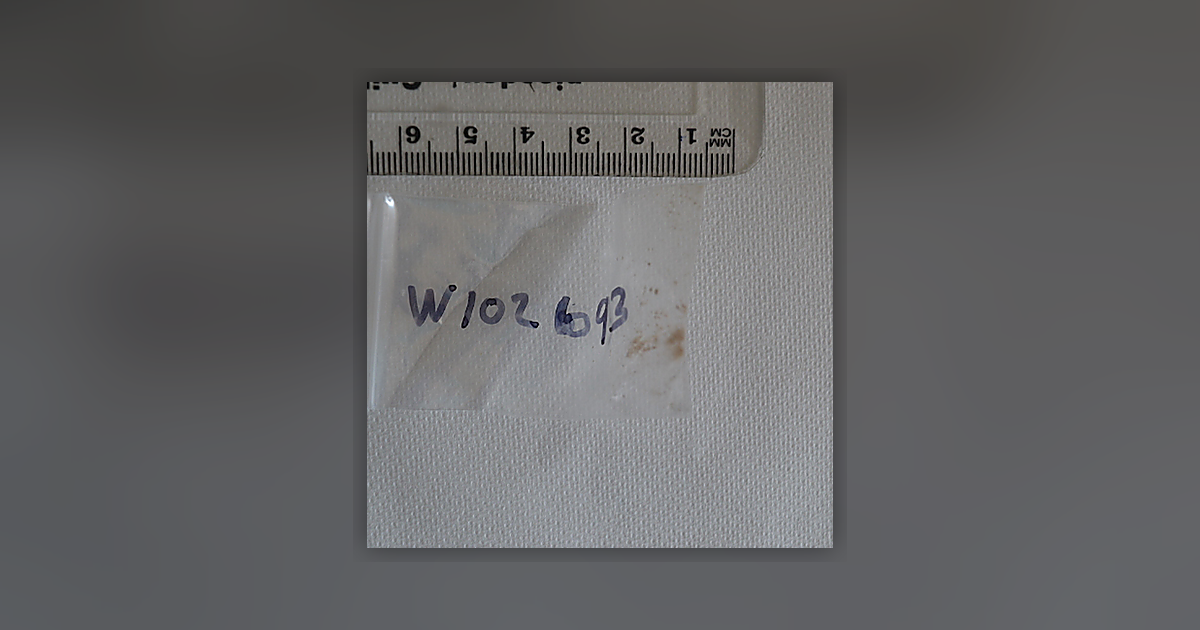 2C-B